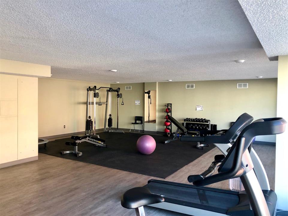Gym1