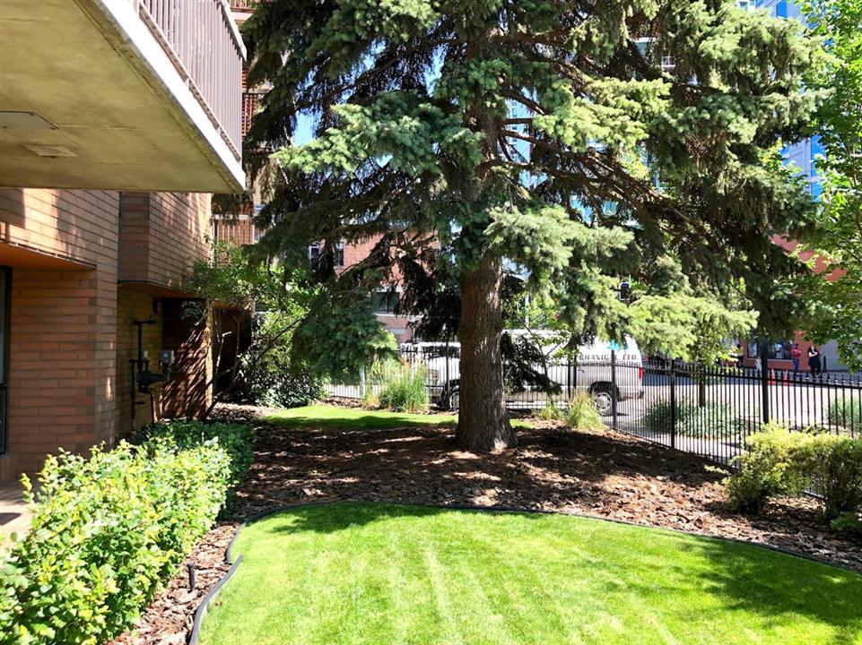 Entrance Garden